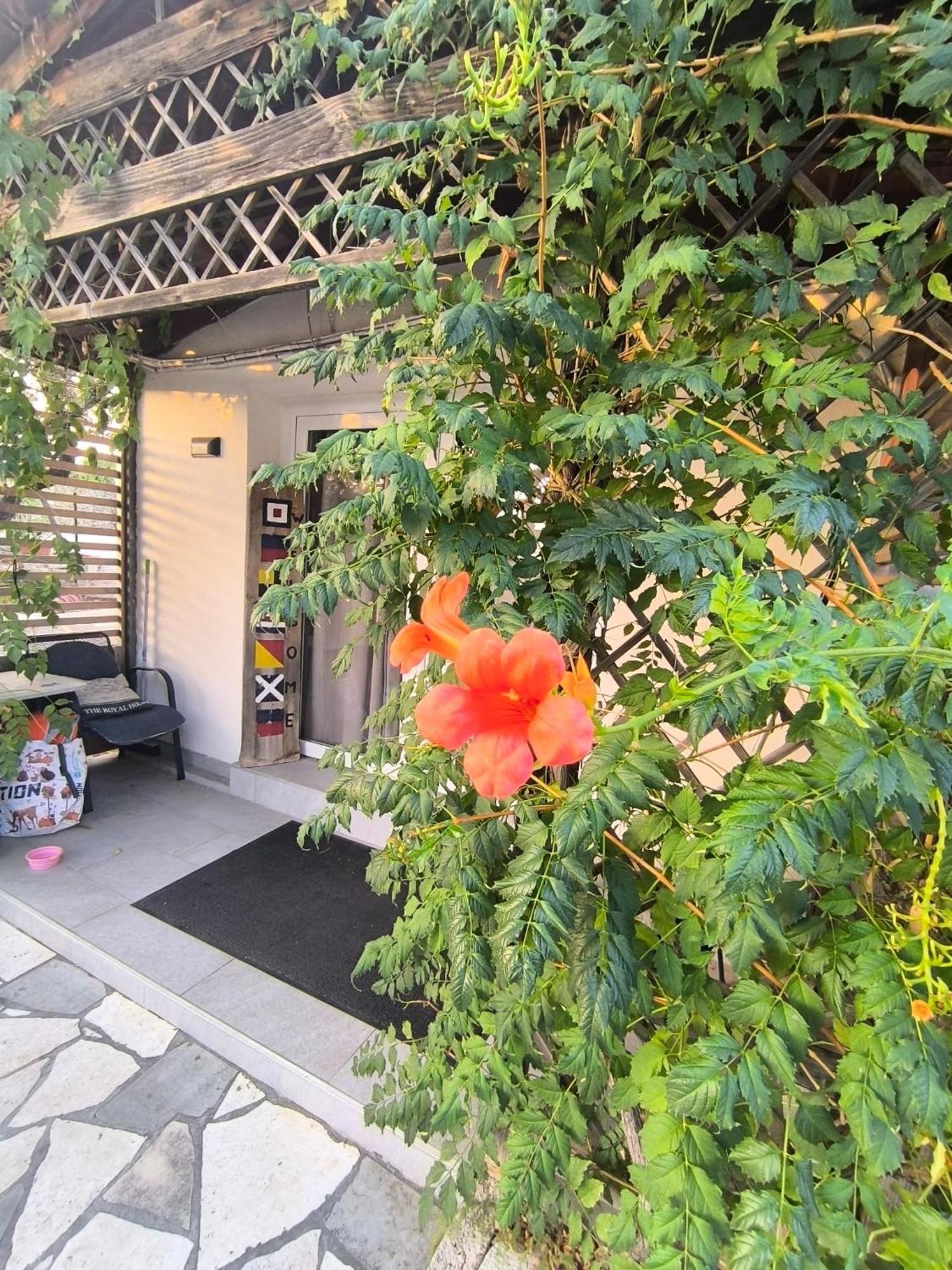 Apartment Wellness Ra- Enjoy Our Jaccuzi, Sauna, E Bike ,fitness , Waterskiing